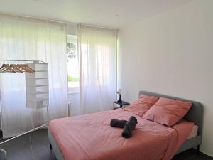 Appartements Spacieux appartement avec 3 chambres - Roubaix : photos des chambres