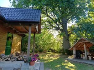 Dębowe Królestwo Leśniczówka w Puszczy na wyłączność - Policzna