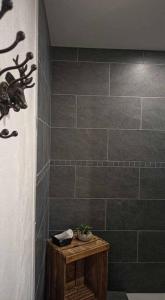 Appartements LE MAZOT-SPA HIVER ET ETE-Piscine-Proche lac-Charme-Detente : photos des chambres