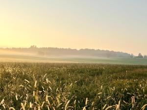 Green Sun - a cozy apartment close to the airport