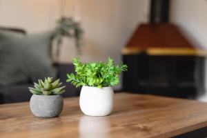 1BR in Carleton Lodge, Unbeatable Mountain Base Location, Ski In, Ski Out, Free Parking