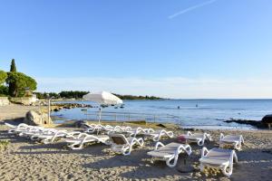 Apartments by the sea Zambratija, Umag - 6998 