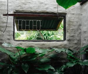 Ivy Coffee Farm - Garden House