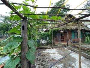 Vong Nguyet Homestay - Entire Bungalow 36m2