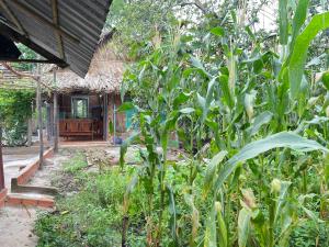 Vong Nguyet Homestay - Entire Bungalow 36m2