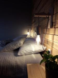 Patagonia, Pinochueco