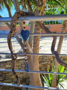 Seagulls - Within walking distance from sea!