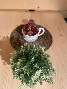 Apartman Lenka