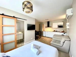 Appartements L-Occitan - Studio climatise avec parking : photos des chambres