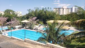 Flat 902 Golden Dolphin Express