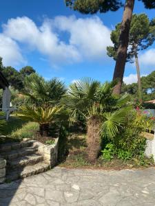 Villas Magnifique villa avec piscine a La Palmyre : photos des chambres