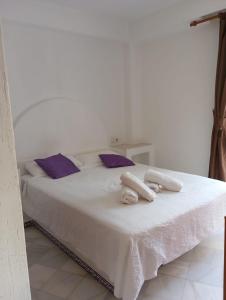 Habitacion privada Torrevieja playa