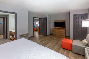 King Suite - Non-Smoking room in La Quinta by Wyndham New Braunfels