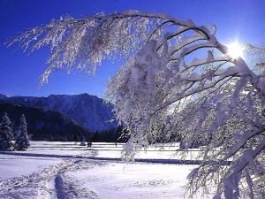 Appartements Appartement spacieux 2 chambres avec balcon a Chamrousse, proche pistes - FR-1-340-246 : photos des chambres