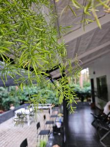 beNomadic Eco Hostel, Madikeri, Coorg