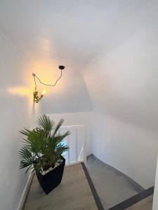 Appt 3 à deux pas de la gare dAmiens