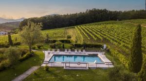 Maria Farmhouse Apartment in Wine Resort in Lucca