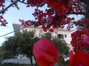 Korina's Rooms Milos Greece