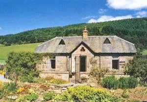 Castle Kennels - Dull