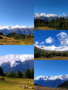 Gujejiani Guest house