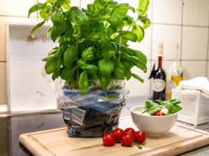 Apartment Tunnelstrasse-1 by Interhome