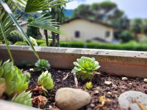 Apartment App- 21 by Interhome