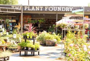 TINY ART HOUSE near the beat