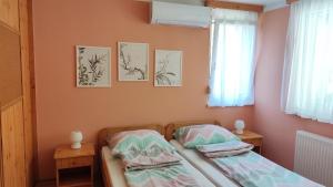 Ágnes Apartman - közvetlen Balaton-parti szálláshely