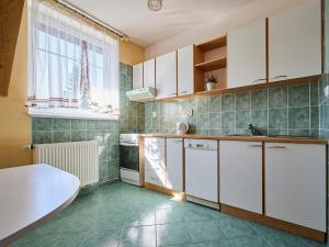 Apartment Harrachov 497-1 by Interhome