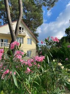 Kaprovani Villa 22