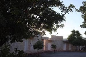 Olive Branch Hotel