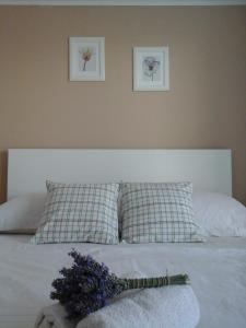 Apartments Anita Frane