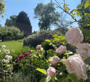 B&B / Chambres d'hotes Domaine La Buissonniere : photos des chambres
