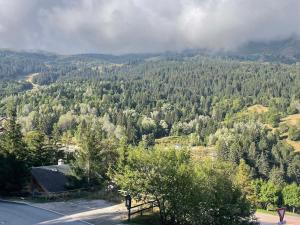 Appartement 3 pièces pour 6 personnes avec balcon et WiFi à Méribel - FR-1-411-225