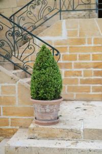 Château Forge du Roy