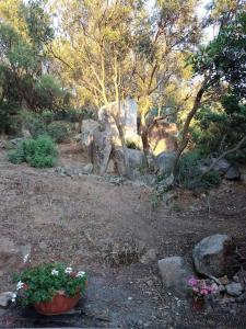 Appartamento Ginepro img1