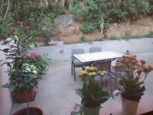 Appartamento Ginepro img45