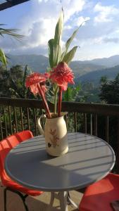 Hotel Villa Palosanto