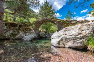 B&B / Chambres d'hotes U PASTURELLU : photos des chambres