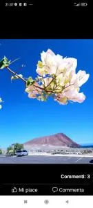 Ocean House - Granadilla de Abona