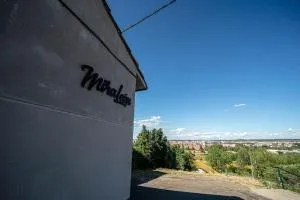 MiraLeón - 维尔根德尔卡米诺