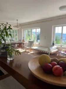 Vila Bellevue - 尼萨河畔亚布洛内茨