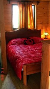 Don Guillermo Cabins