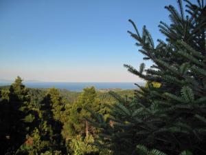 Agnanti Hostel Evia Greece