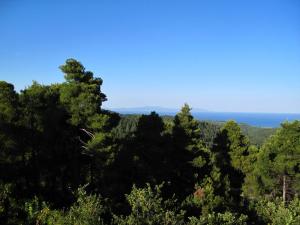 Agnanti Hostel Evia Greece