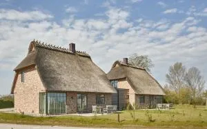 Reetdorf Geltinger Birk Malerhaus Eisnebel - Langfeld