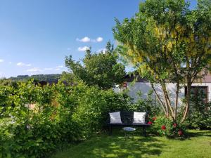 Ferienwohnungen Lilie Und Dahlie