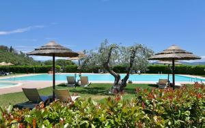 Apartments 5 beds, ground floor with private outdoor area, in Residence with swimming-pool