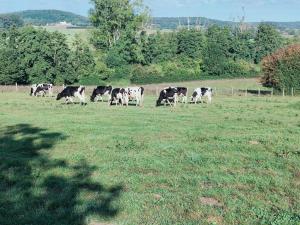 Maison dans le bourg