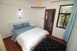 Furnished apartment in Kilimani